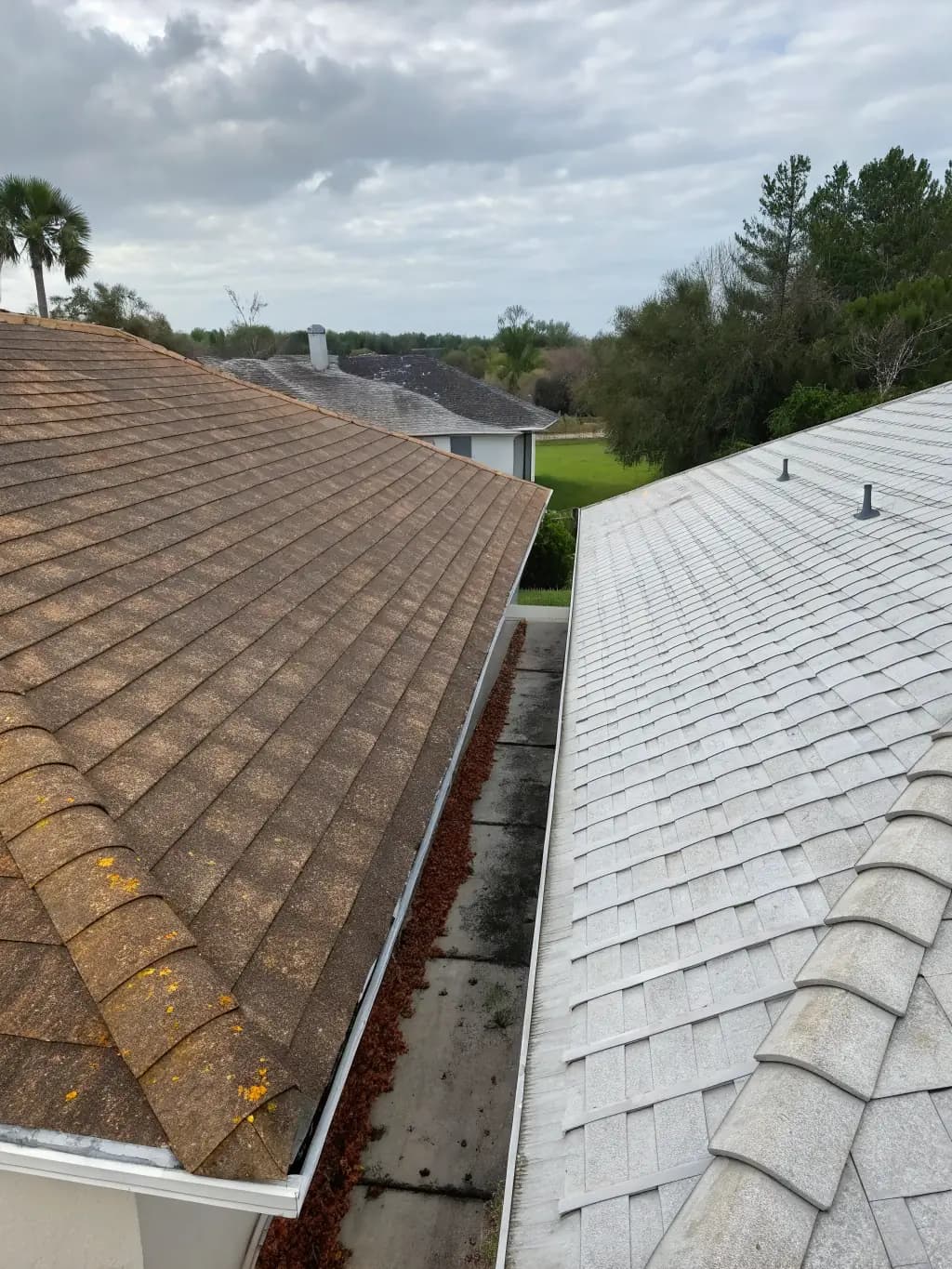Roof Transformation