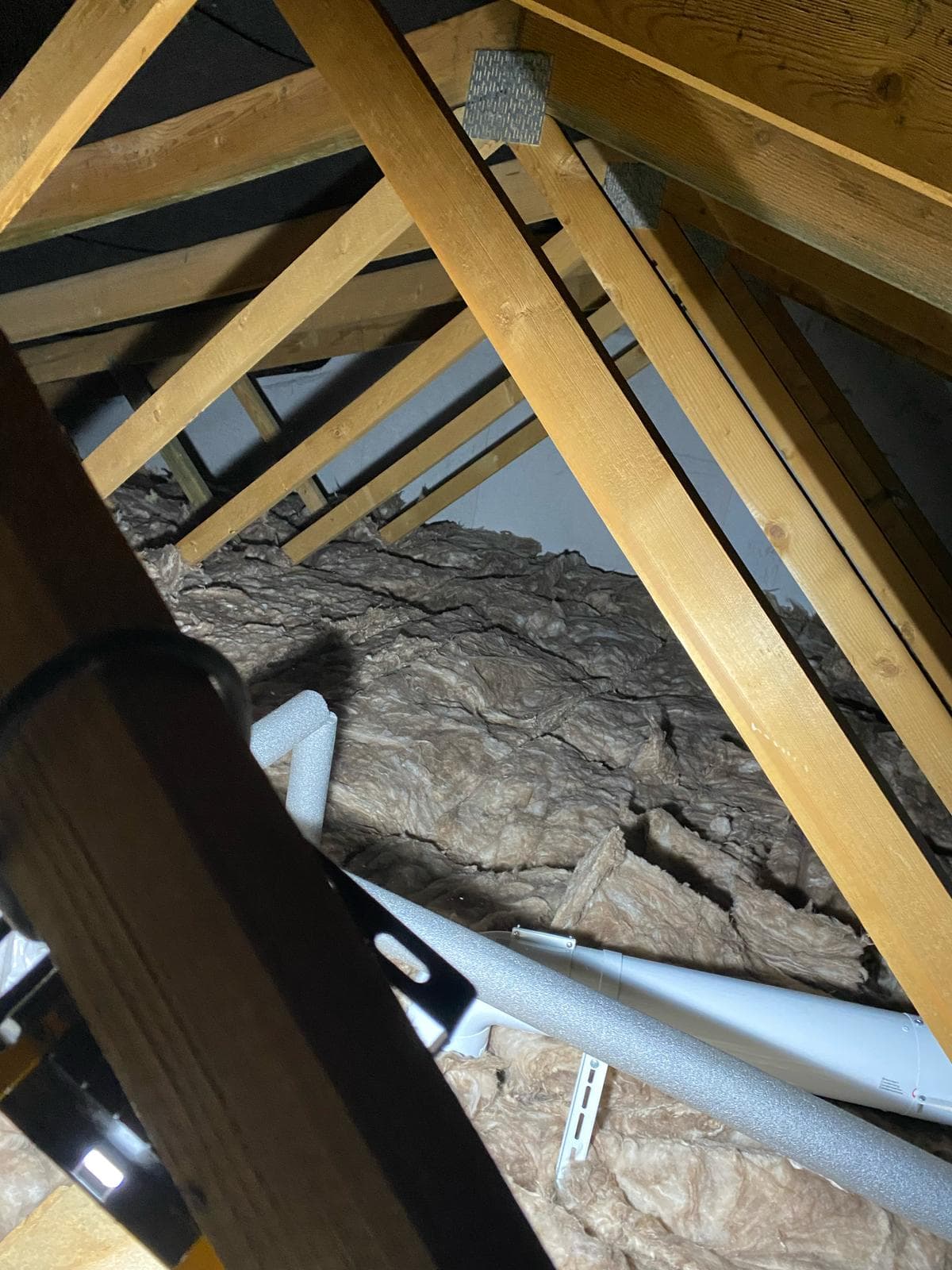 Professional installing insulation in attic